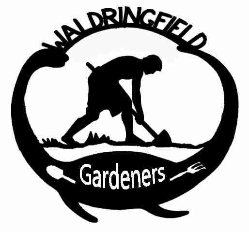 Waldringfield Open Gardens