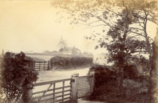 Waldringfield mill
