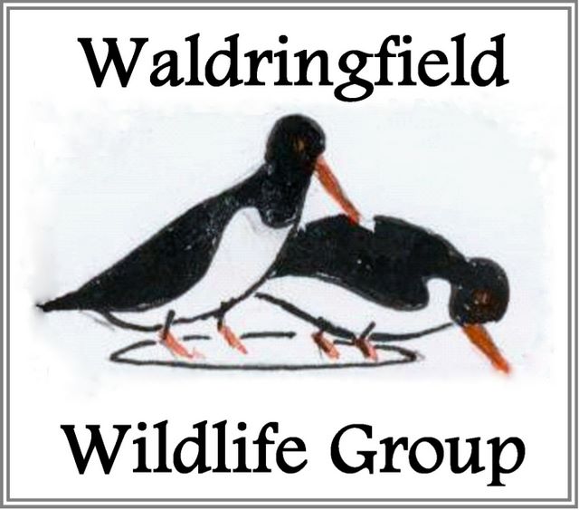Waldringfield Wildlife Group logo