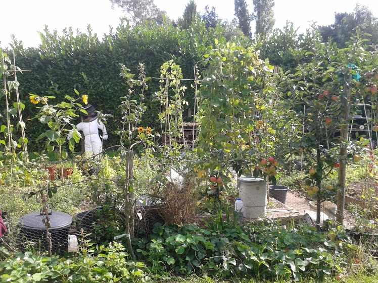 Open Gardens 2018