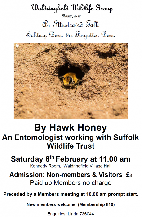 WWG Talk about Solitary Bees